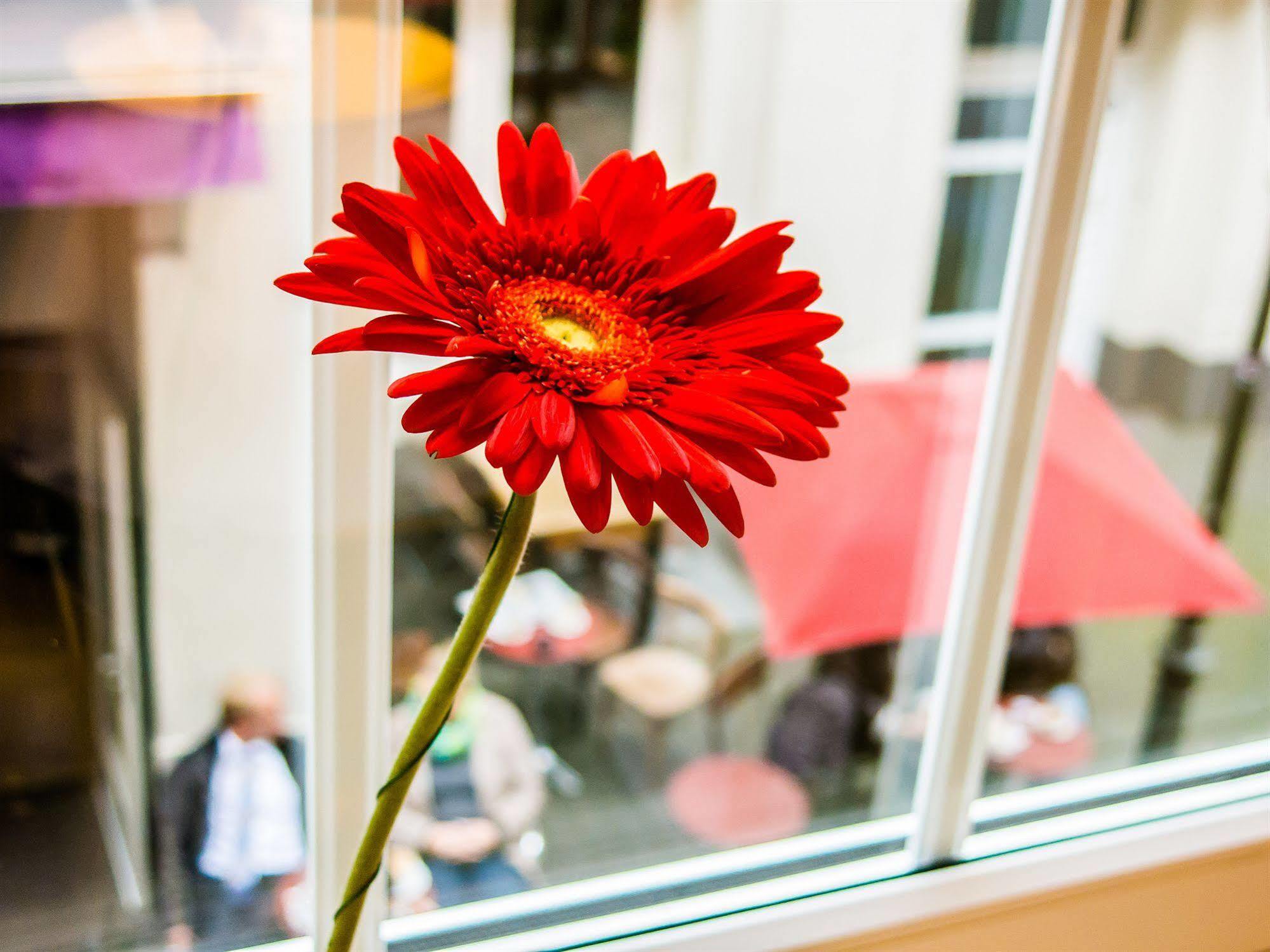 The Soho Altstadt Hotel Hotel 3*